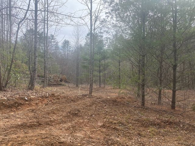 0 Flea Mountain Road, Murphy, NC 28906