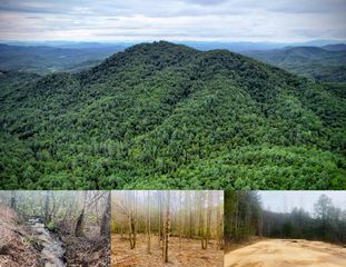 0 Flea Mountain Road, Murphy, NC 28906