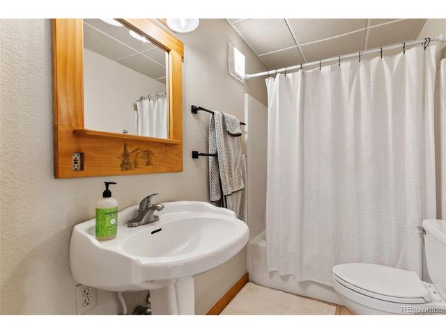 1280 Chippewa Trl, Woodland Park, CO 80863