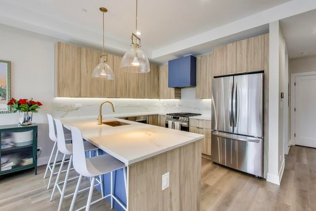 1715 S Morgan Street 2, Chicago, IL 60608
