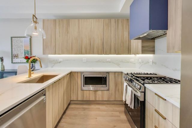 1715 S Morgan Street 2, Chicago, IL 60608