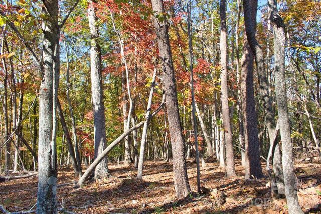 0 Wilderness Ridge 15, Rutherfordton, NC 28139