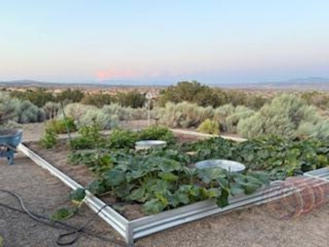 5225 Chopin Road NE, Rio Rancho, NM 87144