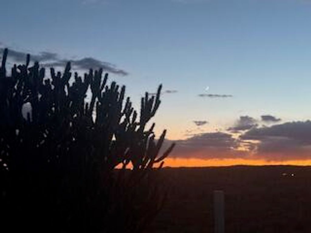 Image 55 of property listing at 5225 Chopin Road NE, Rio Rancho, NM 87144