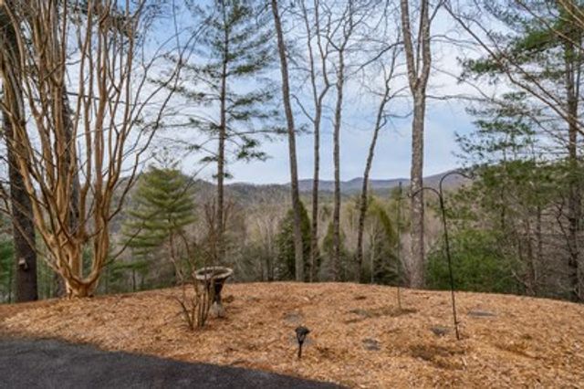 131 Toccoa Overlook Lane, Blue Ridge, GA 30513
