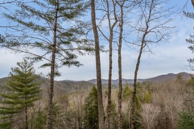 131 Toccoa Overlook Lane, Blue Ridge, GA 30513