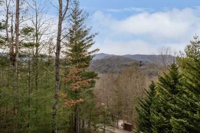 131 Toccoa Overlook Lane, Blue Ridge, GA 30513