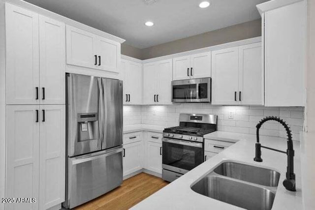 3941 E CAT BALUE Drive, Phoenix, AZ 85050