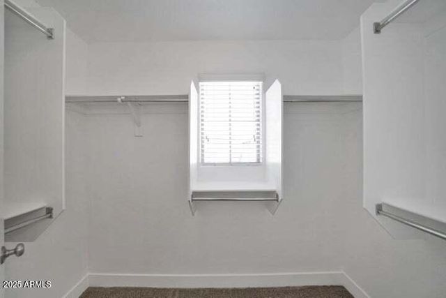 3941 E CAT BALUE Drive, Phoenix, AZ 85050