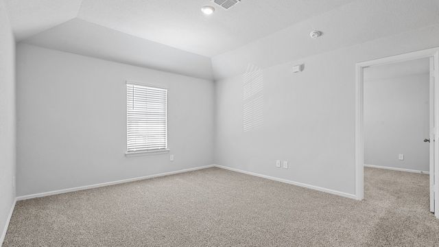 116 IVY Terrace, Boyd, TX 76023