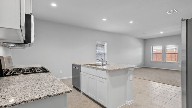 116 IVY Terrace, Boyd, TX 76023