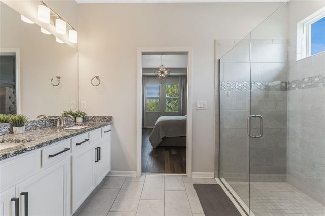 34315 RADLEY WAY, Wesley Chapel, FL 33545