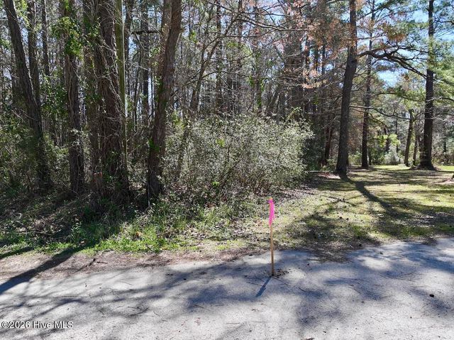 0 Lot 2 Creek Place Road, Arapahoe, NC 28510