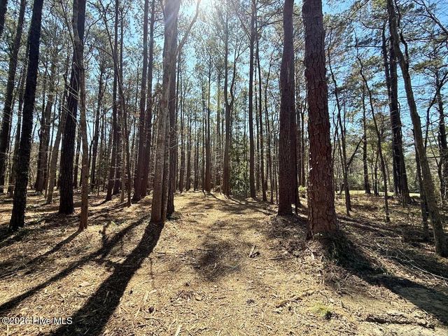 0 Lot 2 Creek Place Road, Arapahoe, NC 28510