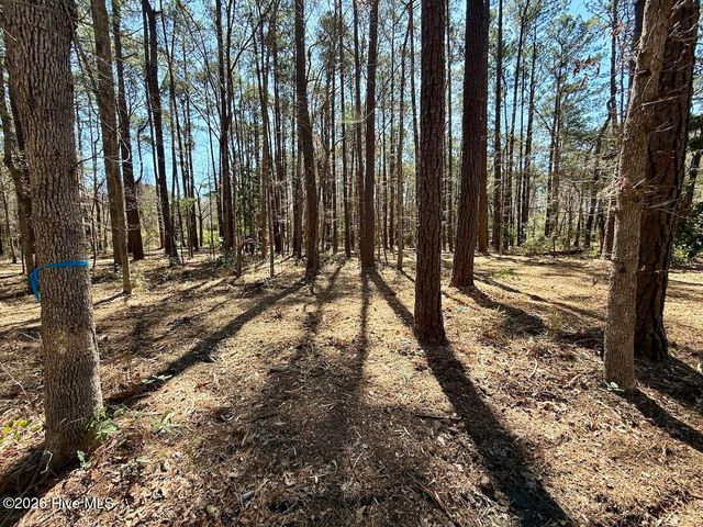 0 Lot 2 Creek Place Road, Arapahoe, NC 28510