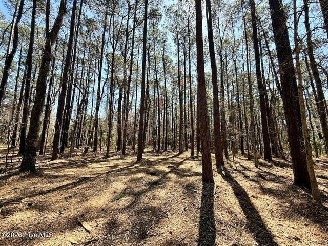 0 Lot 2 Creek Place Road, Arapahoe, NC 28510