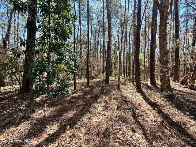 0 Lot 2 Creek Place Road, Arapahoe, NC 28510