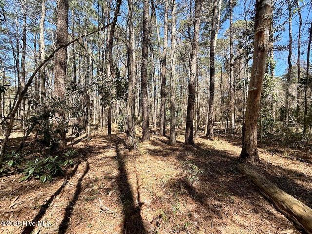 0 Lot 2 Creek Place Road, Arapahoe, NC 28510
