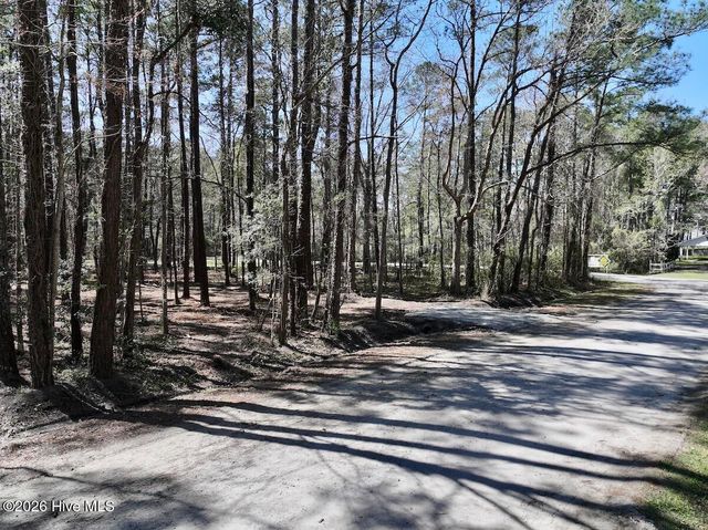 0 Lot 2 Creek Place Road, Arapahoe, NC 28510