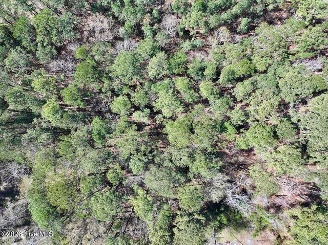 0 Lot 2 Creek Place Road, Arapahoe, NC 28510