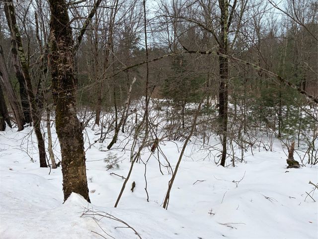 00 Moscoe Road, Bethel, NY 12720