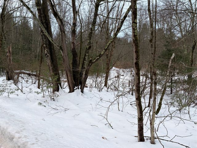 00 Moscoe Road, Bethel, NY 12720