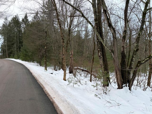 00 Moscoe Road, Bethel, NY 12720