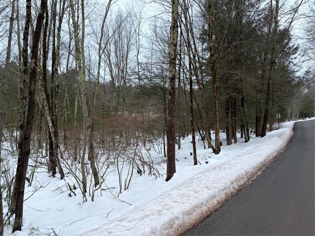 00 Moscoe Road, Bethel, NY 12720