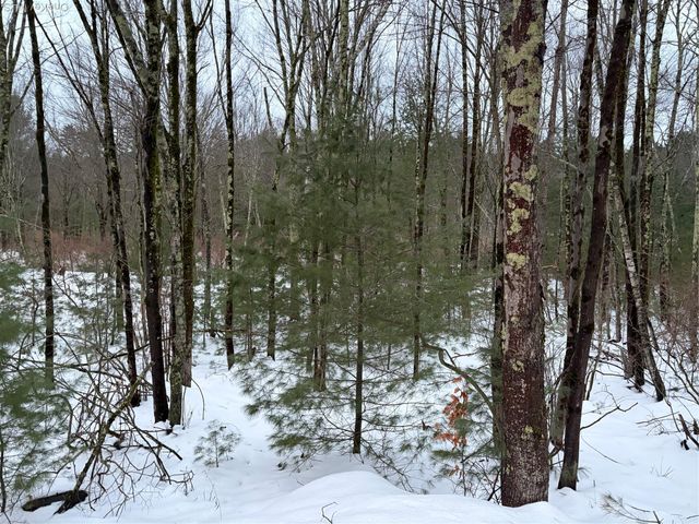 00 Moscoe Road, Bethel, NY 12720