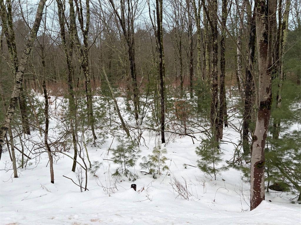00 Moscoe Road, Bethel, NY 12720