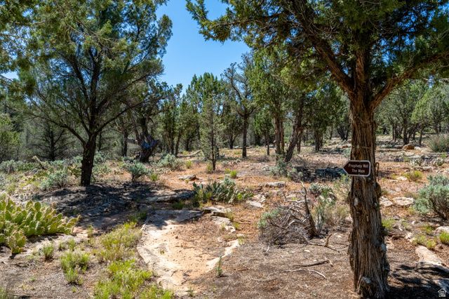 1402 W WINTER QUARTERS TRL, Dammeron Valley, UT 84783