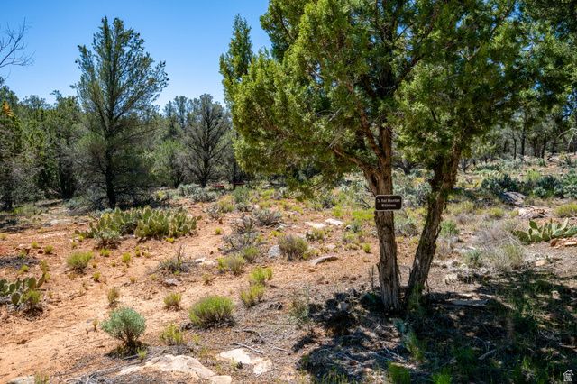 1402 W WINTER QUARTERS TRL, Dammeron Valley, UT 84783