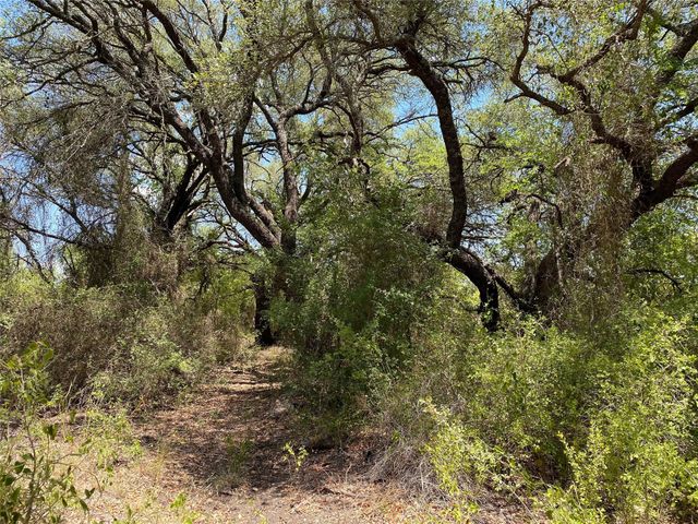 1672 Comanche Cr 343, Dublin, TX 76446