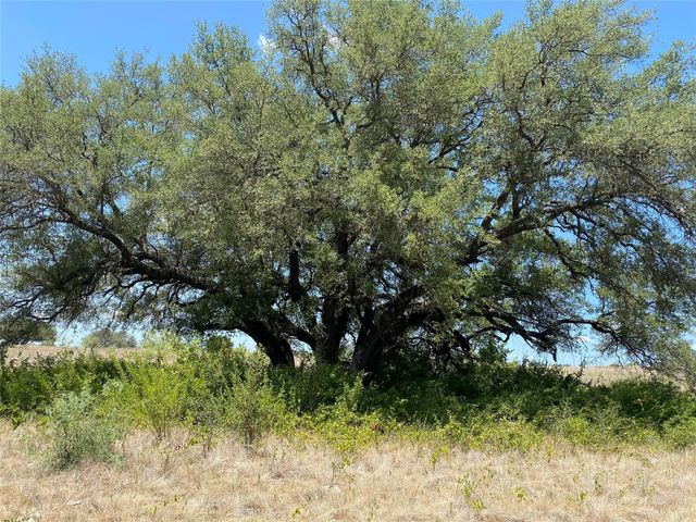 1672 Comanche Cr 343, Dublin, TX 76446