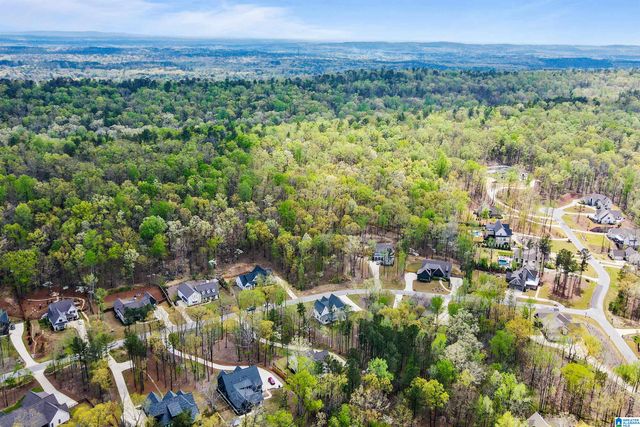 712 HICKORY HOLLOW, Chelsea, AL 35043