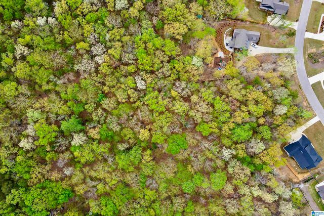 712 HICKORY HOLLOW, Chelsea, AL 35043