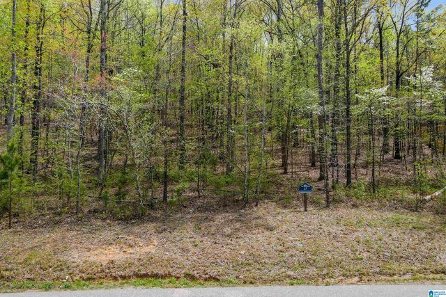 712 HICKORY HOLLOW, Chelsea, AL 35043