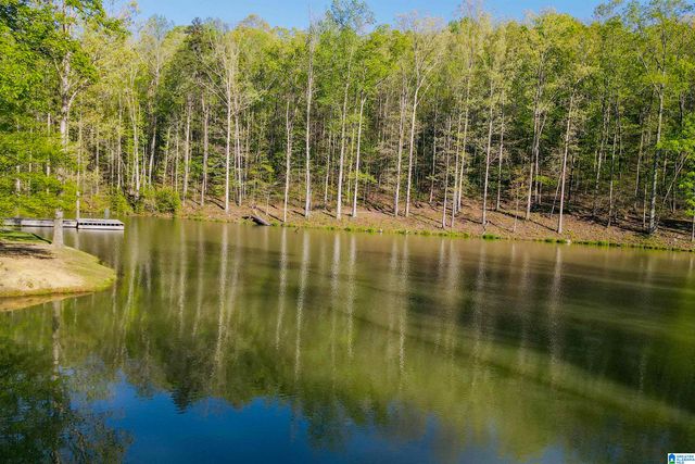 712 HICKORY HOLLOW, Chelsea, AL 35043