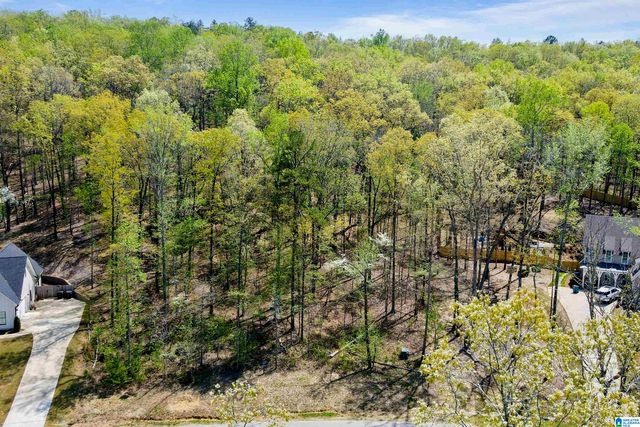 712 HICKORY HOLLOW, Chelsea, AL 35043