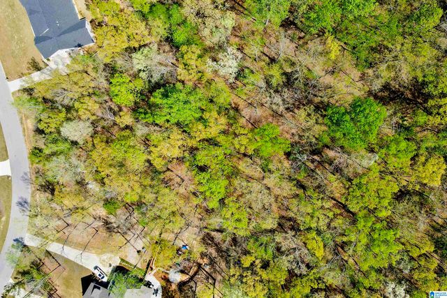 712 HICKORY HOLLOW, Chelsea, AL 35043