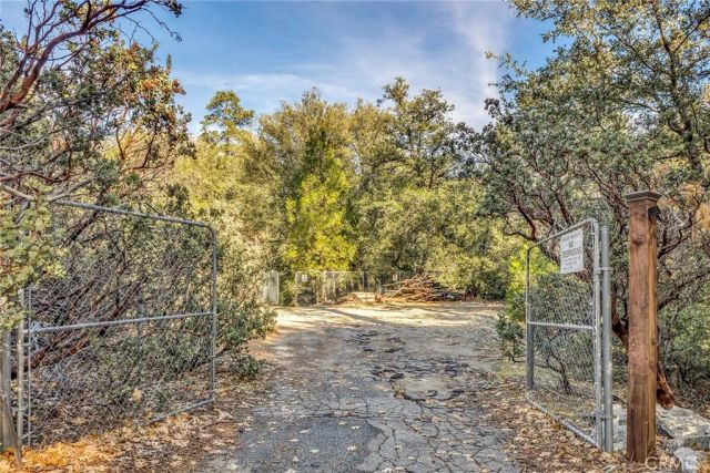 53580 Jeffrey Pine, Idyllwild, CA 92549
