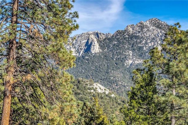 53580 Jeffrey Pine, Idyllwild, CA 92549