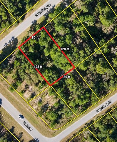 Lot 39 SE SEQUOIA LOOP DRIVE, Ocklawaha, FL 32179