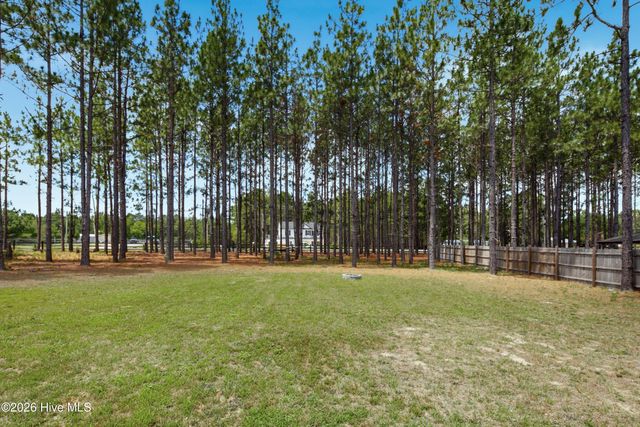 175 Desert Orchid Circle, Raeford, NC 28376
