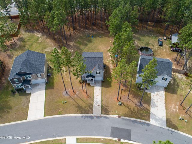 175 Desert Orchid Circle, Raeford, NC 28376