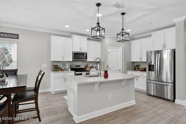 3060 FREE BIRD Loop, Green Cove Springs, FL 32043
