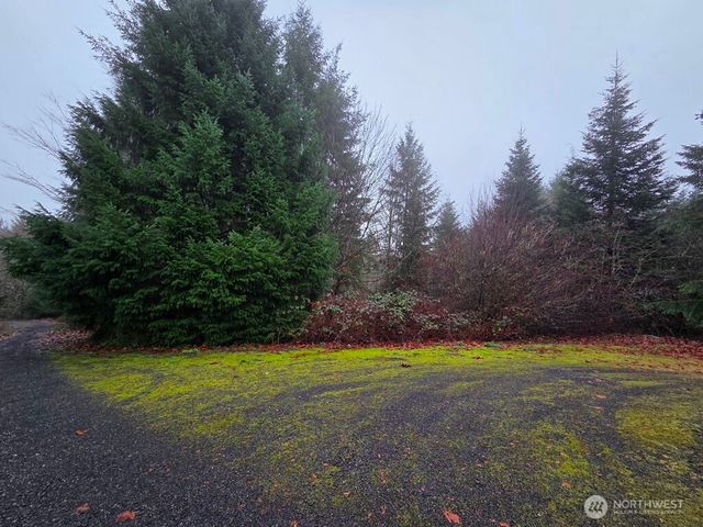 176 White Pine Road, Castle Rock, WA 98611