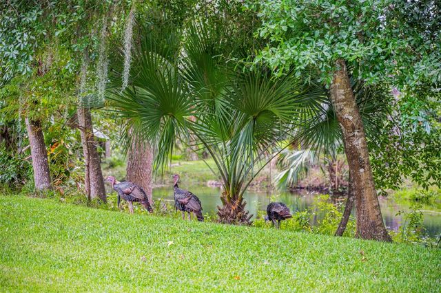 3668 WATERCREST DRIVE, Longwood, FL 32779