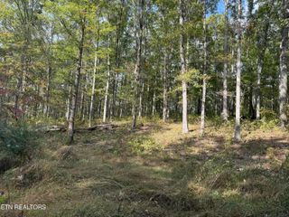 Allardt Hwy Hwy, Jamestown, TN 38556