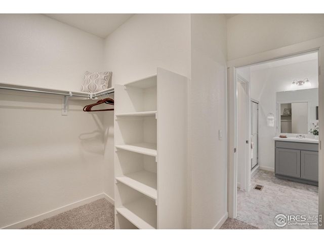 5828 Tulim Ln, Windsor, CO 80528